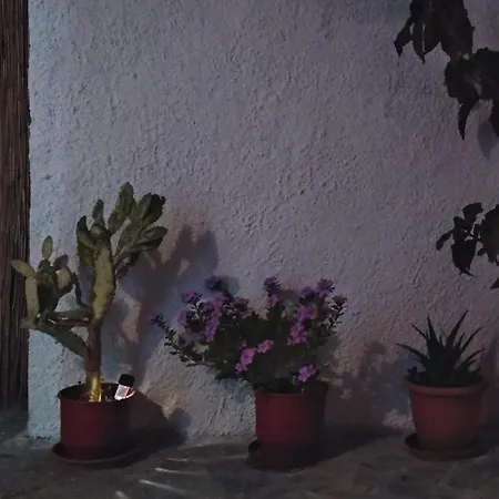 Naxos Summer Nest Apartment *